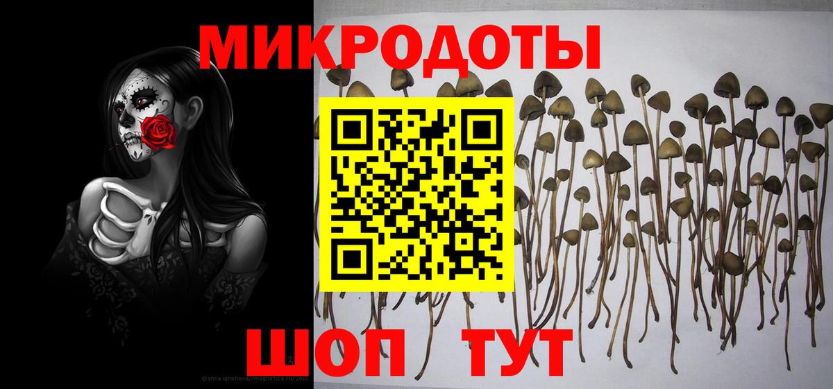 хочу   Псилоцибиновые грибы ЛСД  Вход с VPN  Можга 